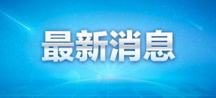 卡拉奇大学孔子学院遇袭事件的策划者被逮捕