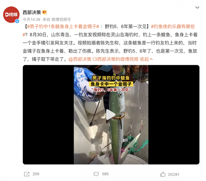 引发网友关注：男子钓上一条鲅鱼身上卡着一个金手镯